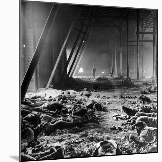 Corpses Litter Gardelegen Warehouse After SS Guards Burn Prisoners to Keep Them Out of Allied Hands-William Vandivert-Mounted Photographic Print