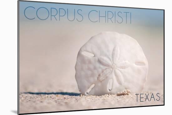 Corpus Christi, Texas - Sand Dollar and Beach-Lantern Press-Mounted Art Print