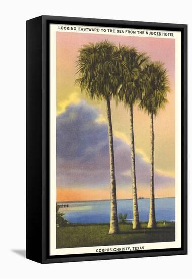 Corpus Christi-null-Framed Stretched Canvas