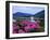 Corran Lighthouse and Loch Linnhe, Highland Region, Scotland, United Kingdom-Kathy Collins-Framed Photographic Print