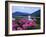 Corran Lighthouse and Loch Linnhe, Highland Region, Scotland, United Kingdom-Kathy Collins-Framed Photographic Print