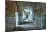 Corridor in an Abandoned Hospital in Beelitz-Stefan Schierle-Mounted Photographic Print