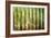 Corrugated Metal-Kathy Mahan-Framed Photographic Print