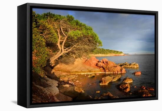 Corsica-Philippe Sainte-Laudy-Framed Premier Image Canvas