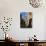 Corte, Corsica, France, Europe-Yadid Levy-Photographic Print displayed on a wall