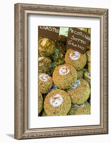 Cortona, Italy. Pecorino Sotto Vinaccia cheese rounds aged under straw.-Janet Horton-Framed Photographic Print