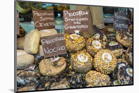 Cortona, Italy. Pecorino Sotto Vinaccia cheese rounds aged under straw.-Janet Horton-Mounted Photographic Print