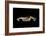 Corvette C3-Octavian Mielu-Framed Art Print