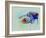 Corvette Watercolor-NaxArt-Framed Art Print