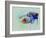 Corvette Watercolor-NaxArt-Framed Art Print