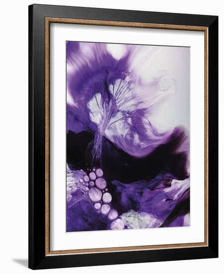 Corvus-J^ D^ Doria-Framed Giclee Print