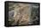 Corwith Intermodal Rail Yard Chicago-Steve Gadomski-Framed Premier Image Canvas