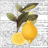 Citrus Edition I-Cory Bannister-Art Print