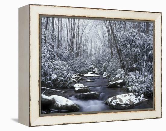 Cosby Creek in Winter, Great Smoky Mountains National Park, Tennessee, USA-Adam Jones-Framed Premier Image Canvas