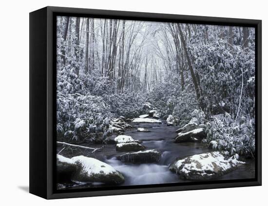 Cosby Creek in Winter, Great Smoky Mountains National Park, Tennessee, USA-Adam Jones-Framed Premier Image Canvas