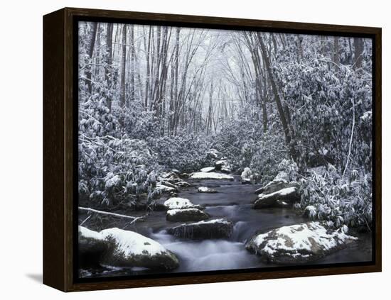 Cosby Creek in Winter, Great Smoky Mountains National Park, Tennessee, USA-Adam Jones-Framed Premier Image Canvas