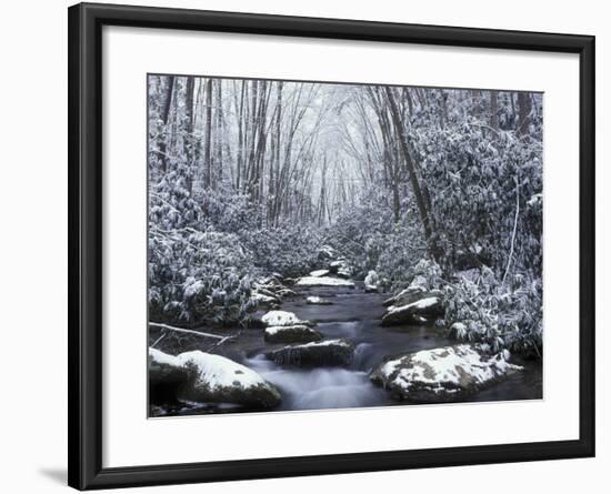 Cosby Creek in Winter, Great Smoky Mountains National Park, Tennessee, USA-Adam Jones-Framed Photographic Print