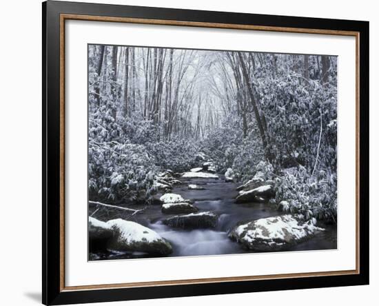 Cosby Creek in Winter, Great Smoky Mountains National Park, Tennessee, USA-Adam Jones-Framed Photographic Print