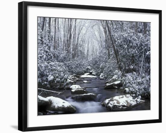 Cosby Creek in Winter, Great Smoky Mountains National Park, Tennessee, USA-Adam Jones-Framed Photographic Print