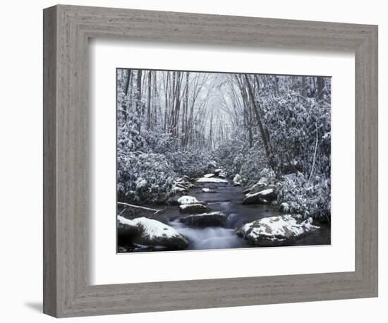 Cosby Creek in Winter, Great Smoky Mountains National Park, Tennessee, USA-Adam Jones-Framed Photographic Print