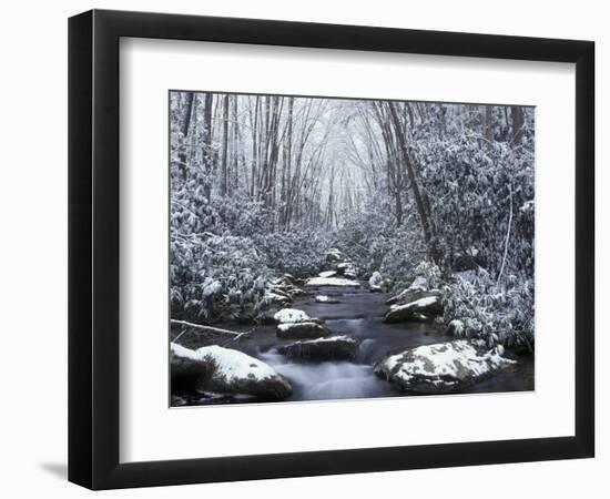 Cosby Creek in Winter, Great Smoky Mountains National Park, Tennessee, USA-Adam Jones-Framed Photographic Print