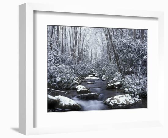 Cosby Creek in Winter, Great Smoky Mountains National Park, Tennessee, USA-Adam Jones-Framed Photographic Print