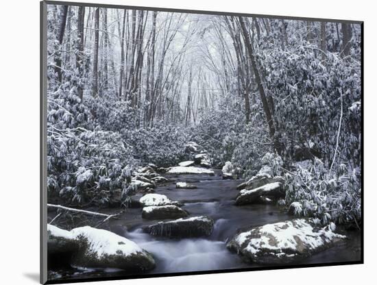Cosby Creek in Winter, Great Smoky Mountains National Park, Tennessee, USA-Adam Jones-Mounted Photographic Print