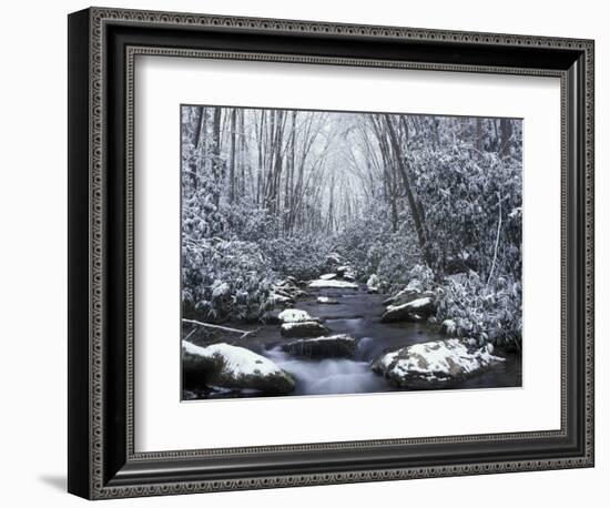 Cosby Creek in Winter, Great Smoky Mountains National Park, Tennessee, USA-Adam Jones-Framed Photographic Print