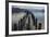 Coscoroba Swan and Dock Puerto Natales, Patagonia, Magellanic, Chile-Pete Oxford-Framed Photographic Print