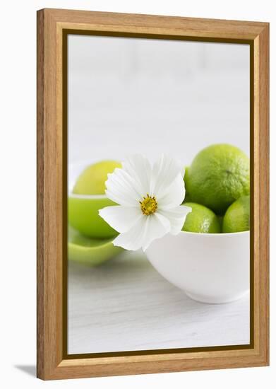 Cosmea, Blossom, White, Bowl, Limes, Green, Still Life-Andrea Haase-Framed Premier Image Canvas