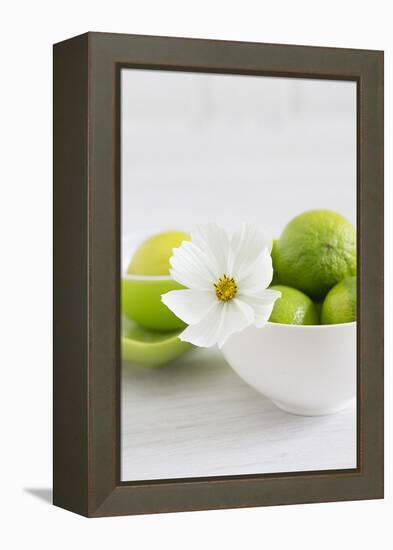 Cosmea, Blossom, White, Bowl, Limes, Green, Still Life-Andrea Haase-Framed Premier Image Canvas