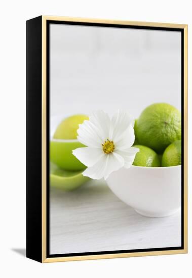 Cosmea, Blossom, White, Bowl, Limes, Green, Still Life-Andrea Haase-Framed Premier Image Canvas