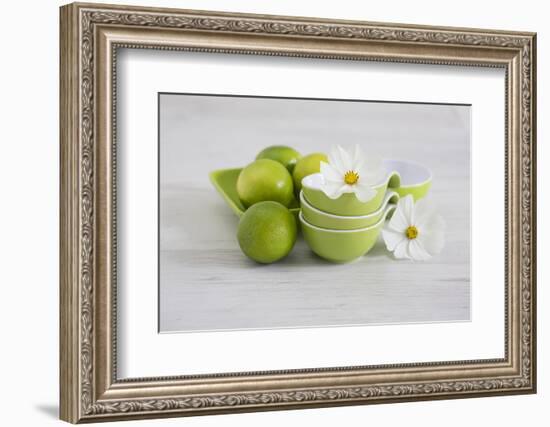 Cosmea, Flower, White, Shells, Lime, Green, Still Life-Andrea Haase-Framed Photographic Print