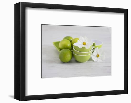 Cosmea, Flower, White, Shells, Lime, Green, Still Life-Andrea Haase-Framed Photographic Print