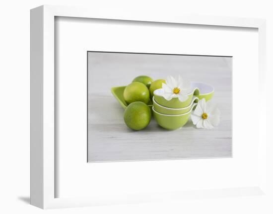 Cosmea, Flower, White, Shells, Lime, Green, Still Life-Andrea Haase-Framed Photographic Print