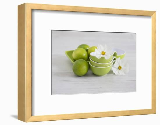 Cosmea, Flower, White, Shells, Lime, Green, Still Life-Andrea Haase-Framed Photographic Print