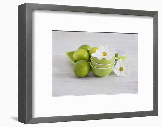 Cosmea, Flower, White, Shells, Lime, Green, Still Life-Andrea Haase-Framed Photographic Print