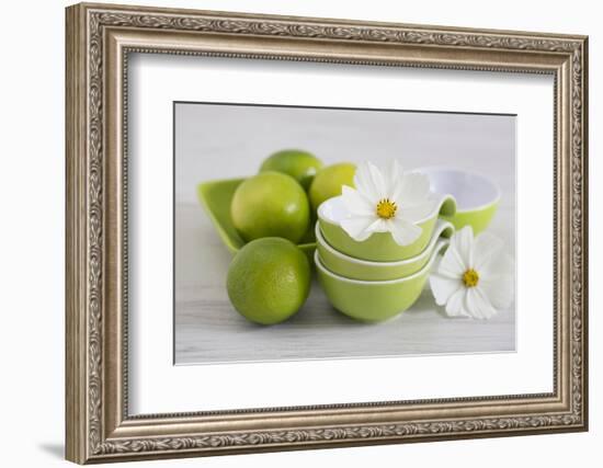 Cosmea, Flower, White, Shells, Lime, Green, Still Life-Andrea Haase-Framed Photographic Print