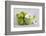 Cosmea, Flower, White, Shells, Lime, Green, Still Life-Andrea Haase-Framed Photographic Print