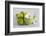 Cosmea, Flower, White, Shells, Lime, Green, Still Life-Andrea Haase-Framed Photographic Print