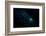 Cosmic Ball-Joe Conroy-Framed Photographic Print