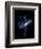 Cosmic Dance-Robert Farkas-Framed Premium Giclee Print