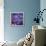 Cosmic Garden-David Newton-Framed Premier Image Canvas displayed on a wall