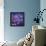 Cosmic Garden-David Newton-Framed Premier Image Canvas displayed on a wall