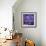 Cosmic Garden-David Newton-Framed Giclee Print displayed on a wall