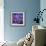 Cosmic Garden-David Newton-Framed Giclee Print displayed on a wall