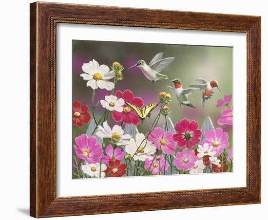 Cosmos and Hummingbirds-William Vanderdasson-Framed Giclee Print