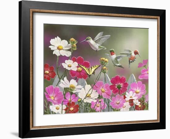 Cosmos and Hummingbirds-William Vanderdasson-Framed Giclee Print