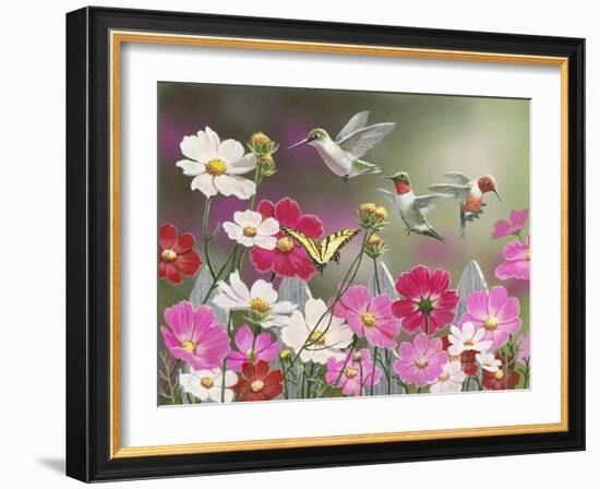 Cosmos and Hummingbirds-William Vanderdasson-Framed Giclee Print