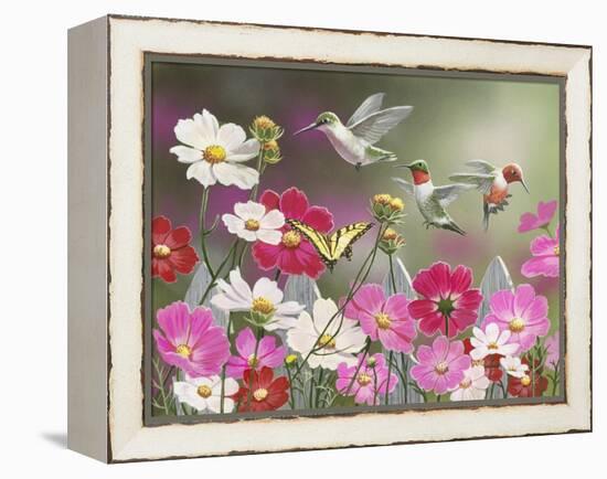 Cosmos and Hummingbirds-William Vanderdasson-Framed Premier Image Canvas